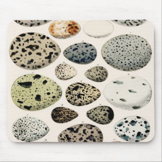 Vintage Vogeleier-Abbildung Mousepad