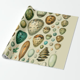 Vintage-Vogeleier Französische Fischeier-Kunst Geschenkpapier
