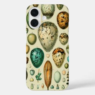Vintage-Vogeleier Französische Fischeier-Kunst iPhone 16 Hülle