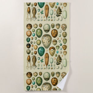 Vintage-Vogeleier Französische Fischeier-Kunst Strandtuch