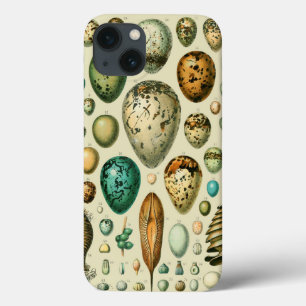 Vintage Vogeleier - Französisches Fischeier Art Case-Mate iPhone Hülle