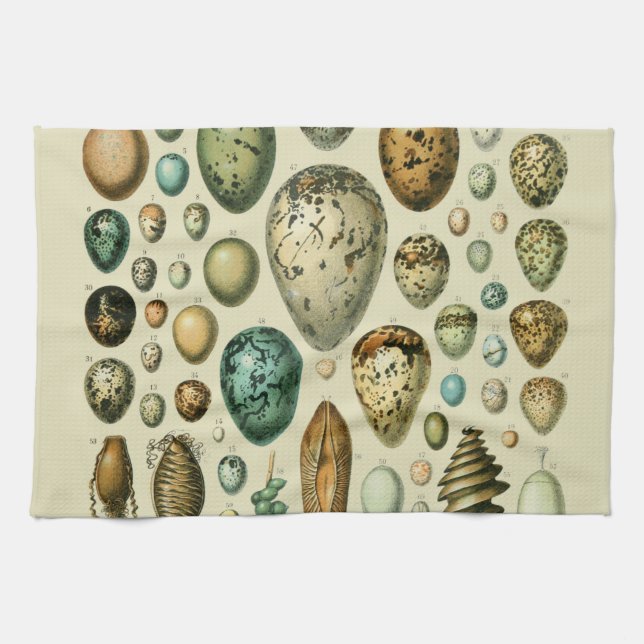 Vintage Vogeleier - Französisches Fischeier Art Geschirrtuch (Horizontal)