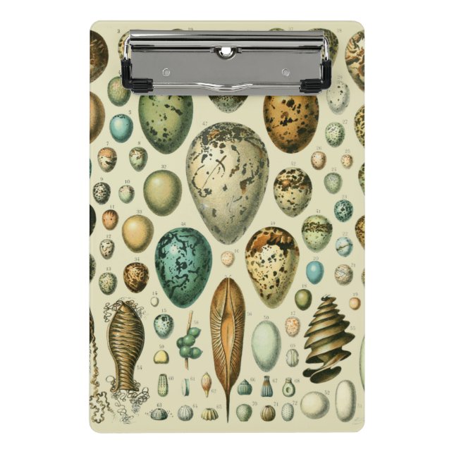 Vintage Vogeleier - Französisches Fischeier Art Mini Klemmbrett (Vorderseite)