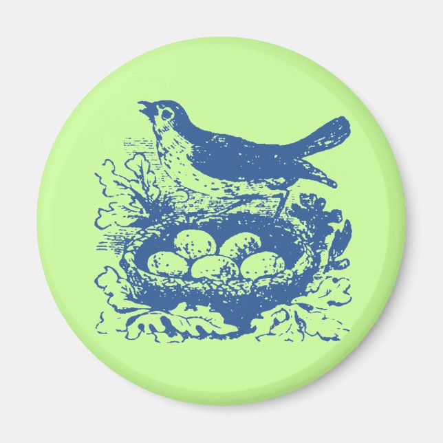 Vintage Vogeleier & Nest Magnet (Vorne)