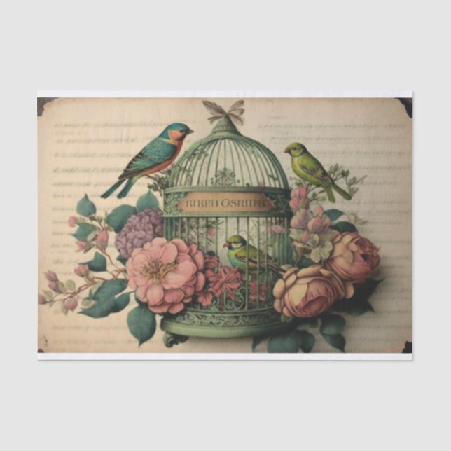 Vintage Vogelkäfig Seidenpapier (Vorderseite)