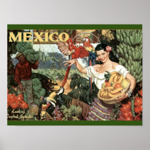Vintage - Voyage - Poster - Mexique - Tropical