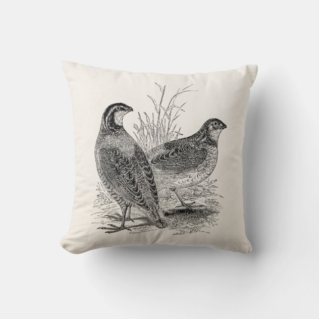 Vintage Wachtel-Vögel - personalisierter Retro Kissen (Vorderseite)
