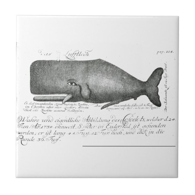 Vintage-Wal-Design Fliese (Vorderseite)