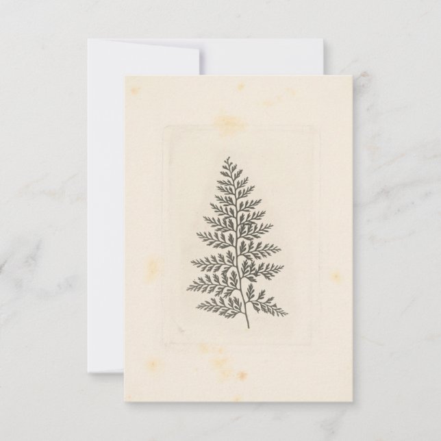 Vintage Waldkorrespondenz Waldlandschaft Mitteilungskarte (Vorderseite)