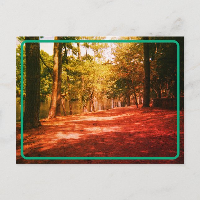 Vintage Waldpostkarte Postkarte (Vorderseite)