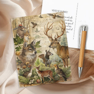 Vintage Waldtiere Wolf Deer Nature Postkarte