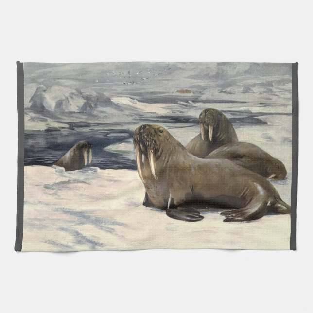 Vintage Walrusse im arktischen Schnee von CE Swan Geschirrtuch (Horizontal)