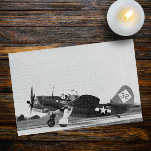 Vintage-Warbird-Flugzeug-WWII-Jäger-Foto