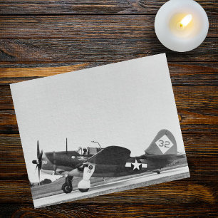 Vintage-Warbird-Flugzeug-WWII-Jäger-Foto