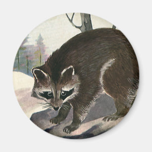 Vintage-Waschbär, wilde Waldtiere Magnet