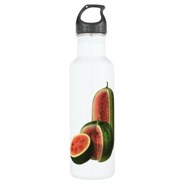 Vintage Wassermelonen Große Runde, Bio Lebensmitte Trinkflasche (Vorderseite)