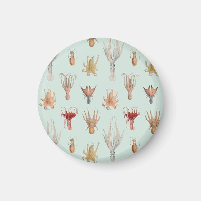 Vintage Weichtiere (blau) Magnet (Vorne)