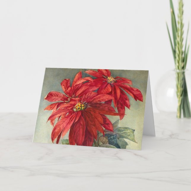Vintage Weihnachten in Poinsettia (Vorderseite)