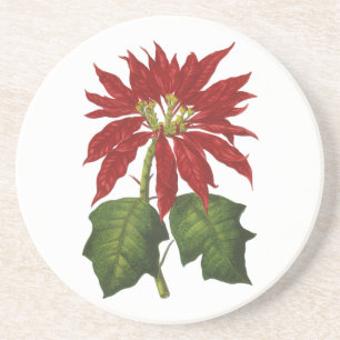 Vintage Weihnachten, rote Weihnachtsstern-Winterpf Getränkeuntersetzer