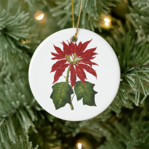 Vintage Weihnachten, Rote Weihnachtsstern-Winterpf Keramik Ornament
