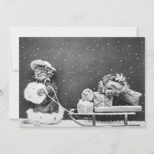 Vintage Weihnachten Weihnachtsmann Katze mit Schli