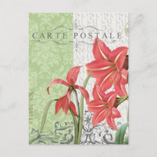 Vintage Weihnachts-Amaryllis Postkarte