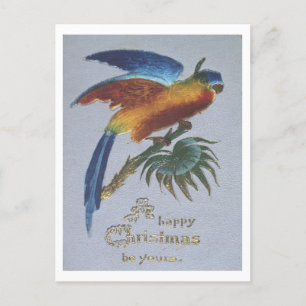 Vintage Weihnachtsgrüße 1905 mit Papagei Postkarte