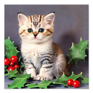 Vintage-Weihnachtskitten und Stechpalme Fotodruck