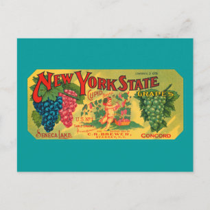 Vintage-Weintraubenkiste-Kunst Leer-Postkarte Postkarte
