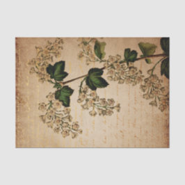Vintage weiße Blume botanisch Seidenpapier