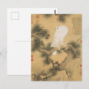 Vintage Weiße Falke auf Kiefernbaum Chinesische Ku Postkarte