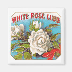 Vintage weiße Rosen-Verein-Blumen Magnet