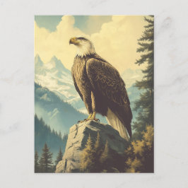 Vintage Weisskopfseeadler Alaska Postkarte