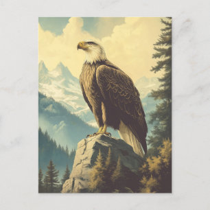 Vintage Weisskopfseeadler Alaska Postkarte