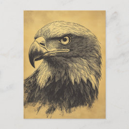 Vintage Weisskopfseeadler Portrait Raubvogel Postkarte