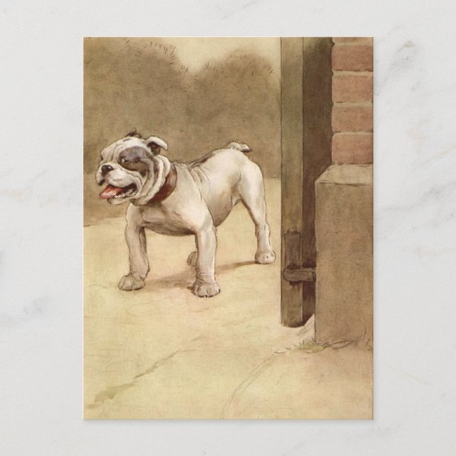 Vintage Welpen-Illustration Postkarte (Vorderseite)