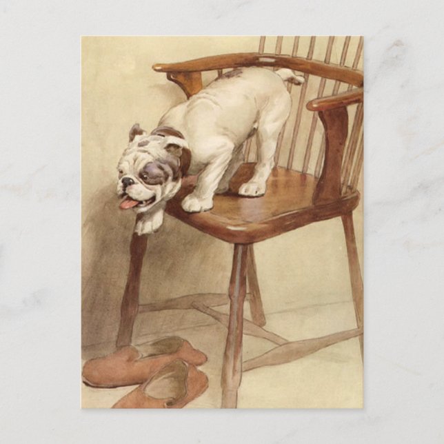 Vintage Welpen-Illustration Postkarte (Vorderseite)