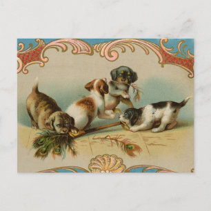 Vintage-Welpen-Postkarte Postkarte