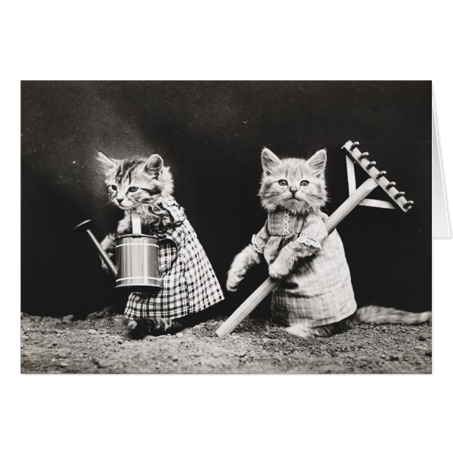 Vintage Welpen und Kätzchen Mitteilungskarten (Vorderseite (Horizontal))