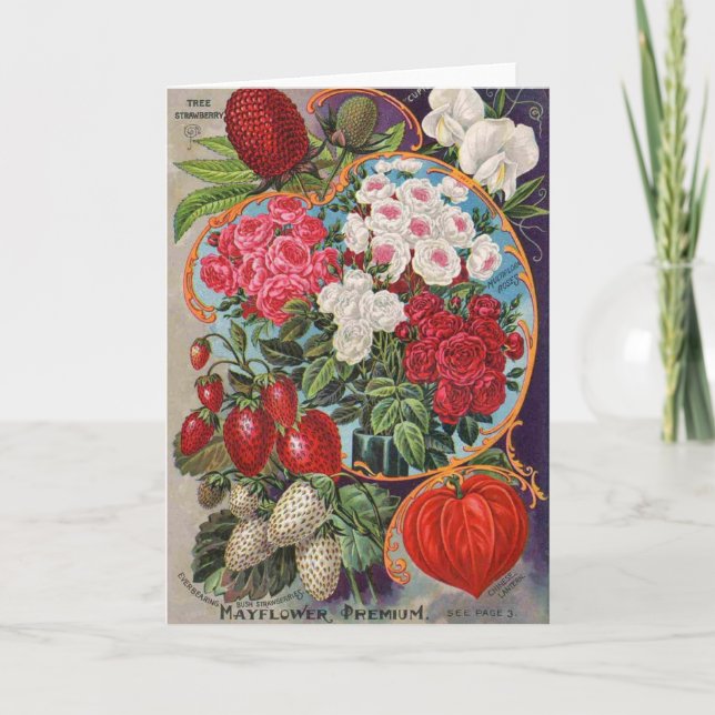 Vintage-Werbung für Saatgutpackungen, Karte (Vorderseite)