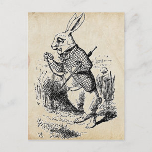 Vintage White Rabbit Postkarte