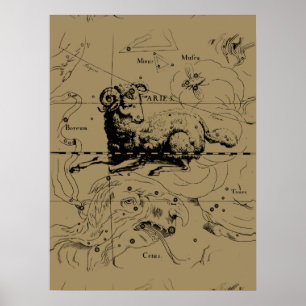Vintage Widder-Konstellations-Karte Hevelius 1690 Poster