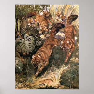 Vintage Wild Dogs, Dholes von Winifred Austen Poster