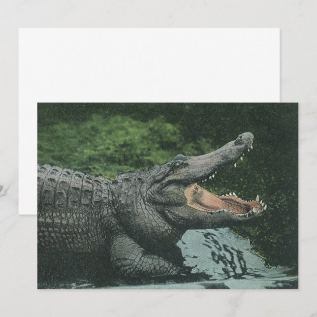 Vintage wild lebende Tiere Reptilien Krokodile Ein Einladung (Vorne/Hinten)