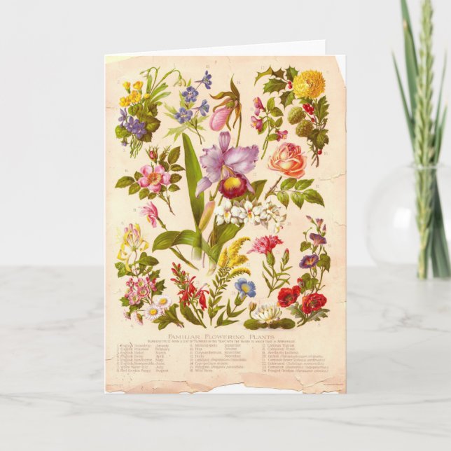Vintage Wildblume-Gruß-Karte Karte (Vorderseite)