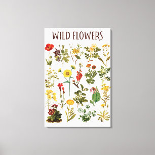 Vintage Wildblume Leinwanddruck