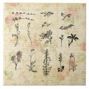 Vintage-Wildblumen-Blumenskript-Kunst Fliese