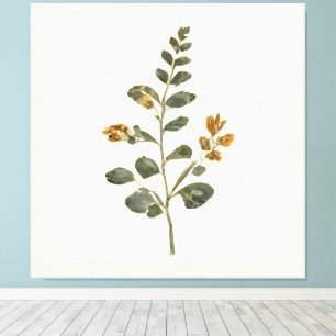 Vintage-Wildblumen-Botanischer-Zweig-Herbarium Leinwanddruck