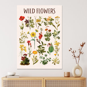 Vintage-Wildblumen-Diagramm Leinwanddruck