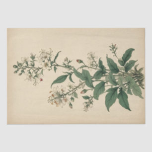 Vintage-Wildblumen-Druck Seidenpapier